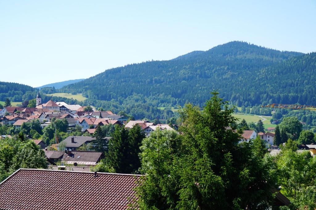 Pension Zur Klause Bodenmais Exterior foto