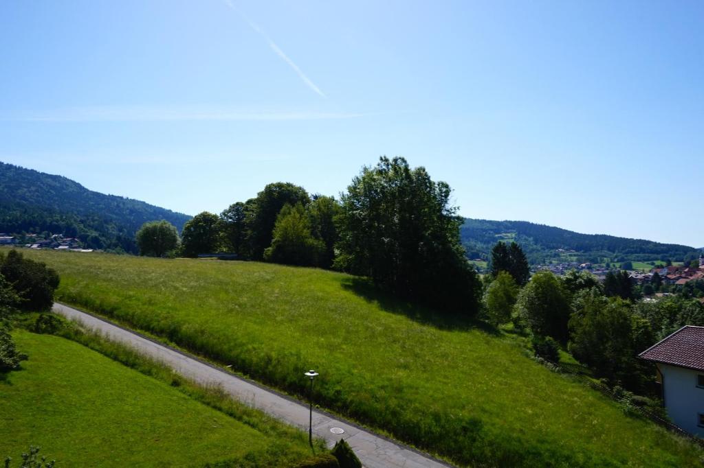 Pension Zur Klause Bodenmais Exterior foto