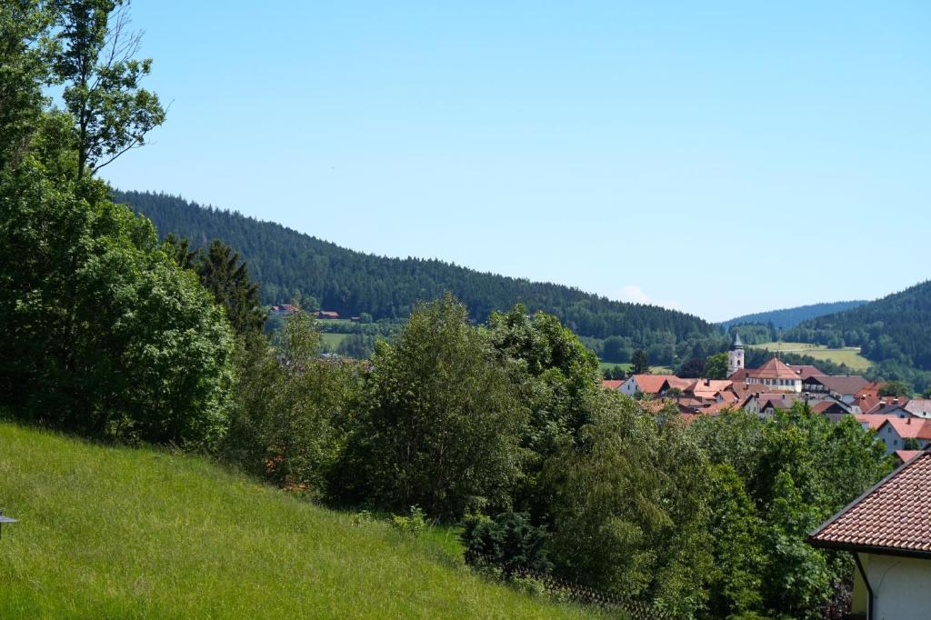 Pension Zur Klause Bodenmais Exterior foto